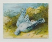 WILLIAM CRUICKSHANK (BRITISH 1