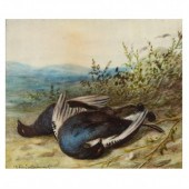 WILLIAM CRUICKSHANK (BRITISH,