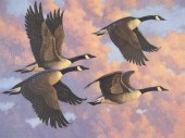 WILLIAM G. SMITH (1948- ), FLE