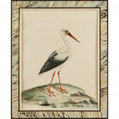 WILLIAM HAYES, COLORED ENGRAVI