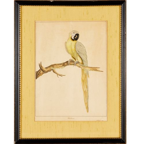 WILLIAM HAYES, INK AND WATERCOLOR