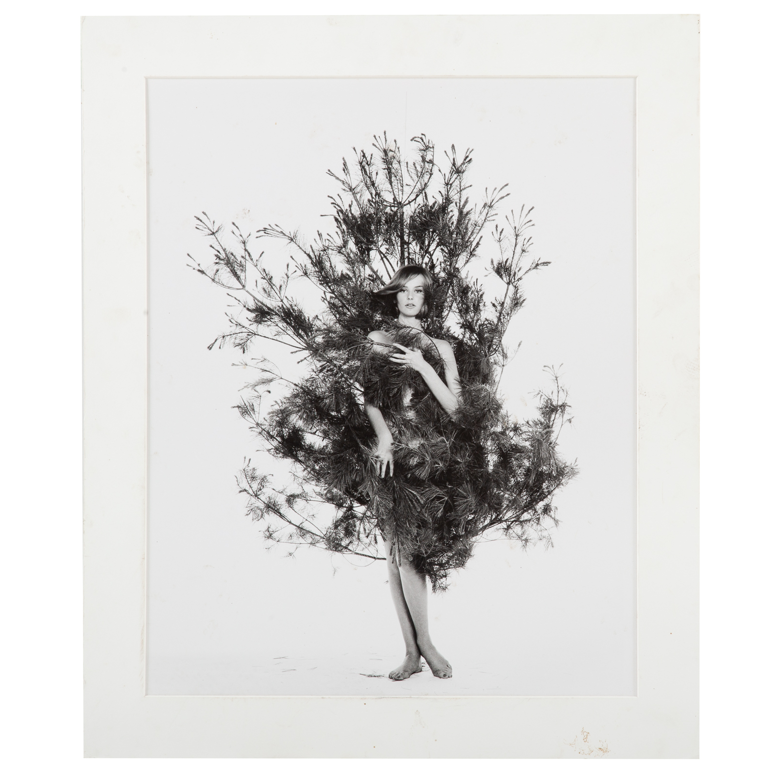 WILLIAM HELBURN. "NENA IN FIR