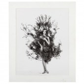 WILLIAM HELBURN. "NENA IN FIR