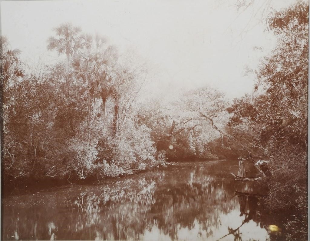 WILLIAM HENRY JACKSON, FLORIDA