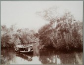 WILLIAM HENRY JACKSON, FLORIDA