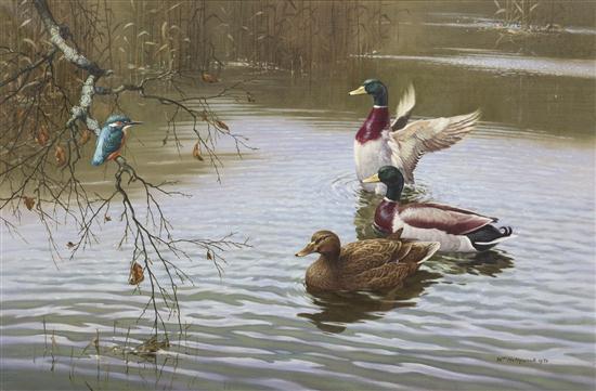 *William Hollywood (British