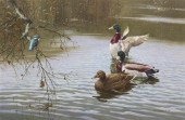 *William Hollywood (British 19