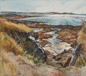 WILLIAM LESTER STEVENS, AMERIC