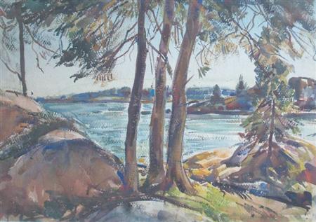 William Lester Stevens American,
