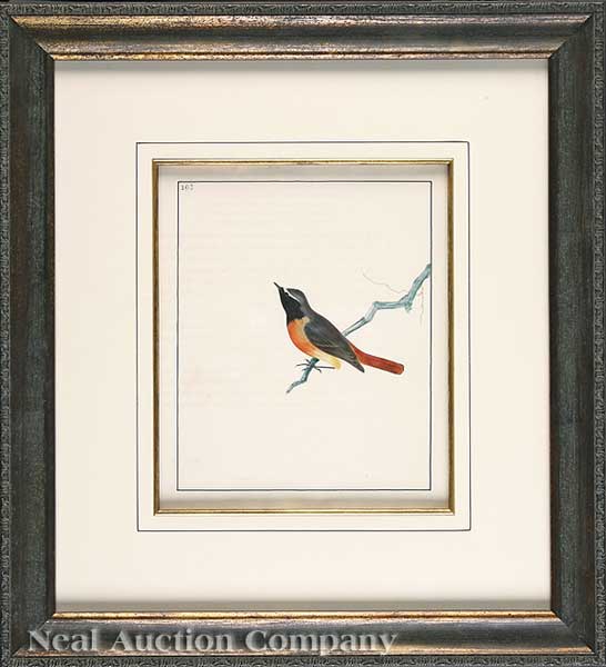 William Lewin (English