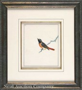 William Lewin (English 1747-17