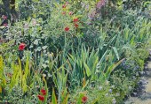 WILLIAM NICHOLS, (AMERICAN, B.