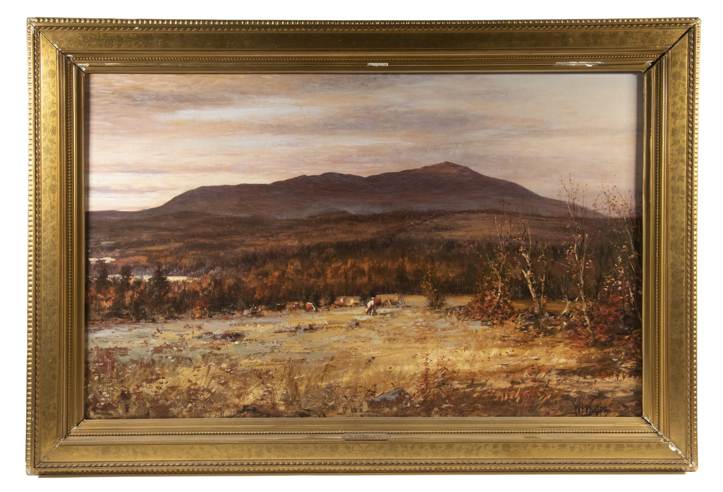 WILLIAM PRESTON PHELPS (NH,