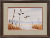 William Redd Taylor (Virginia,