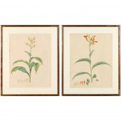 WILLIAM ROSCOE, (2) BOTANICAL