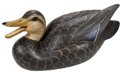 WILLIAM SCHULTZ, FINE BLACK DUCK