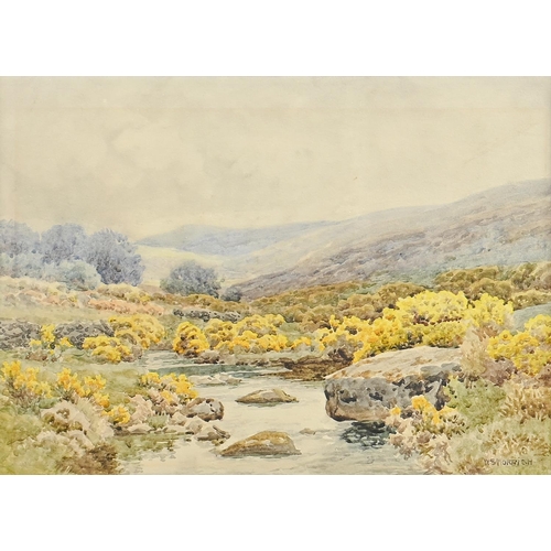 William Sidney Morrish