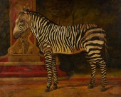 WILLIAM SKILLING ZEBRA OIL ON