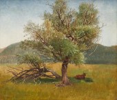 WILLIAM STANLEY HASELTINE, (AM