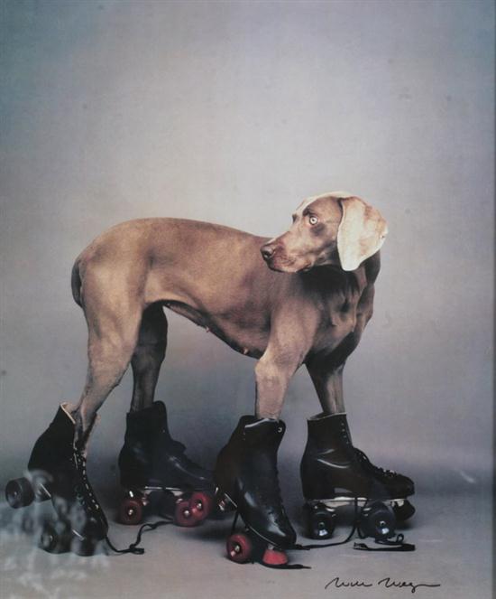 WILLIAM WEGMAN (American b.