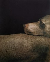 WILLIAM WEGMAN (AMERICAN B. 19