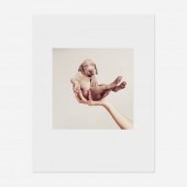 William Wegman b.1943. Hand So
