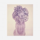 William Wegman b.1943. Such an