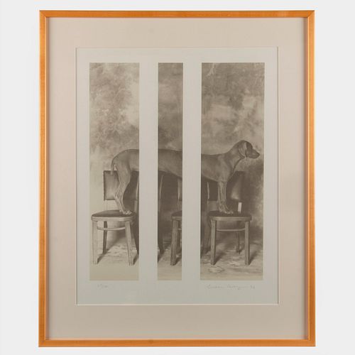 WILLIAM WEGMAN / CHARITABLE