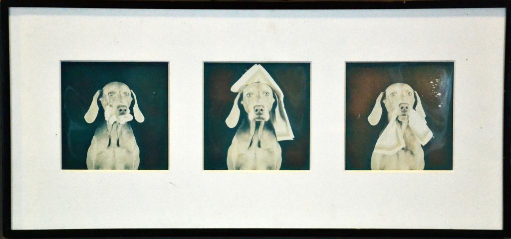 William Wegman Triptych