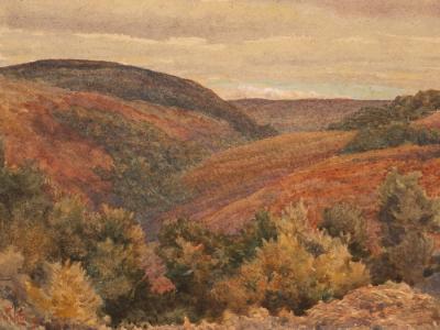 William Wiehe Collins