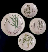WILLIAMS-SONOMA "CULINARY HERB