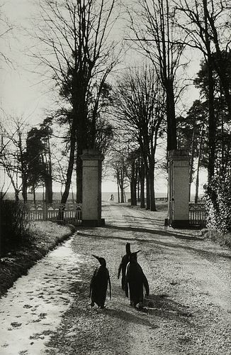 WILLY RONIS (FRENCH 1910-2009) A