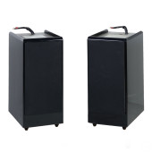 WILSON AUDIO WATT PUPPY SERIES