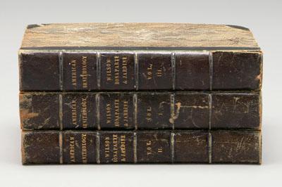 Wilson&#39;s American Ornithology ,