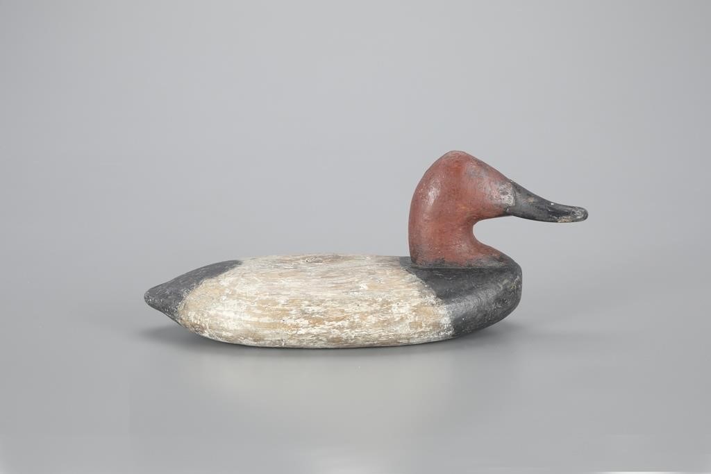 WING-DUCK CANVASBACKWilliam Heverin
