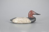 WING-DUCK CANVASBACKWilliam He