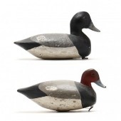 WINTON THOMPSON (NC), BLUEBILL