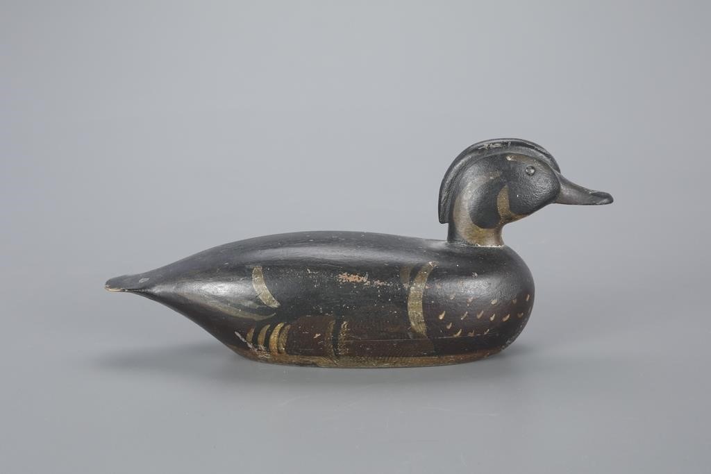 WOOD DUCKMalcolm B. Parks