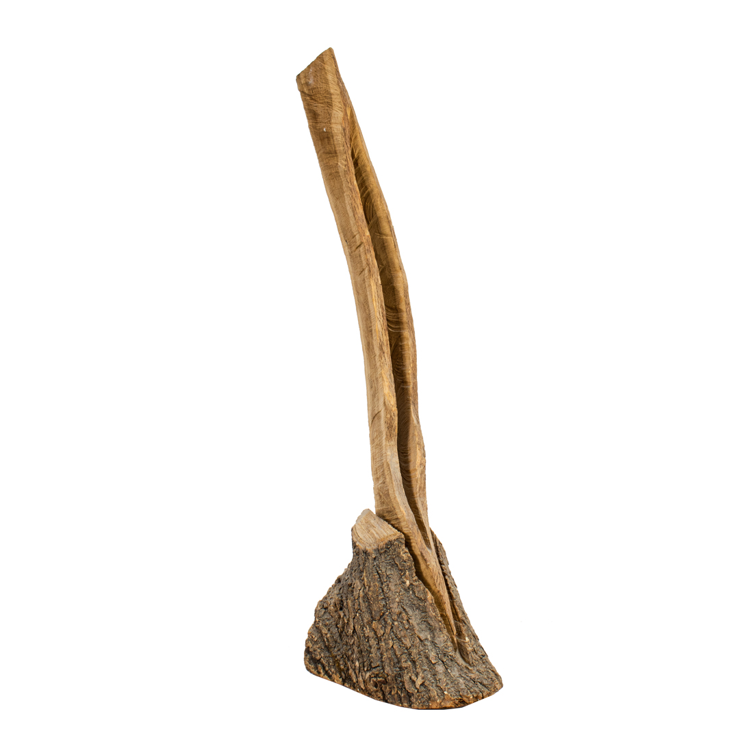 WOOD SCULPTURE, DAVID NASH David