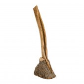 WOOD SCULPTURE, DAVID NASH Dav