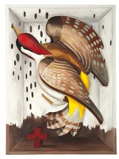 Woodpecker Ensconced by Cheryl