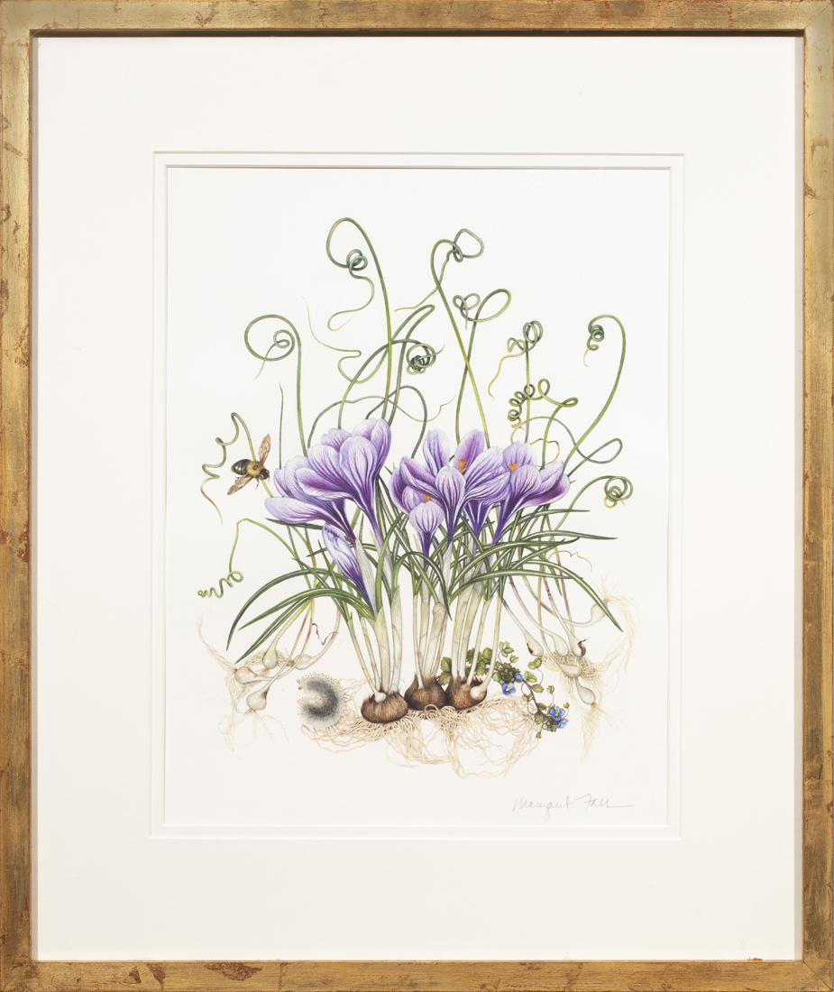 WORK ON PAPER, MARGARET FARR