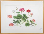 WORK ON PAPER, MARGARET FARR M