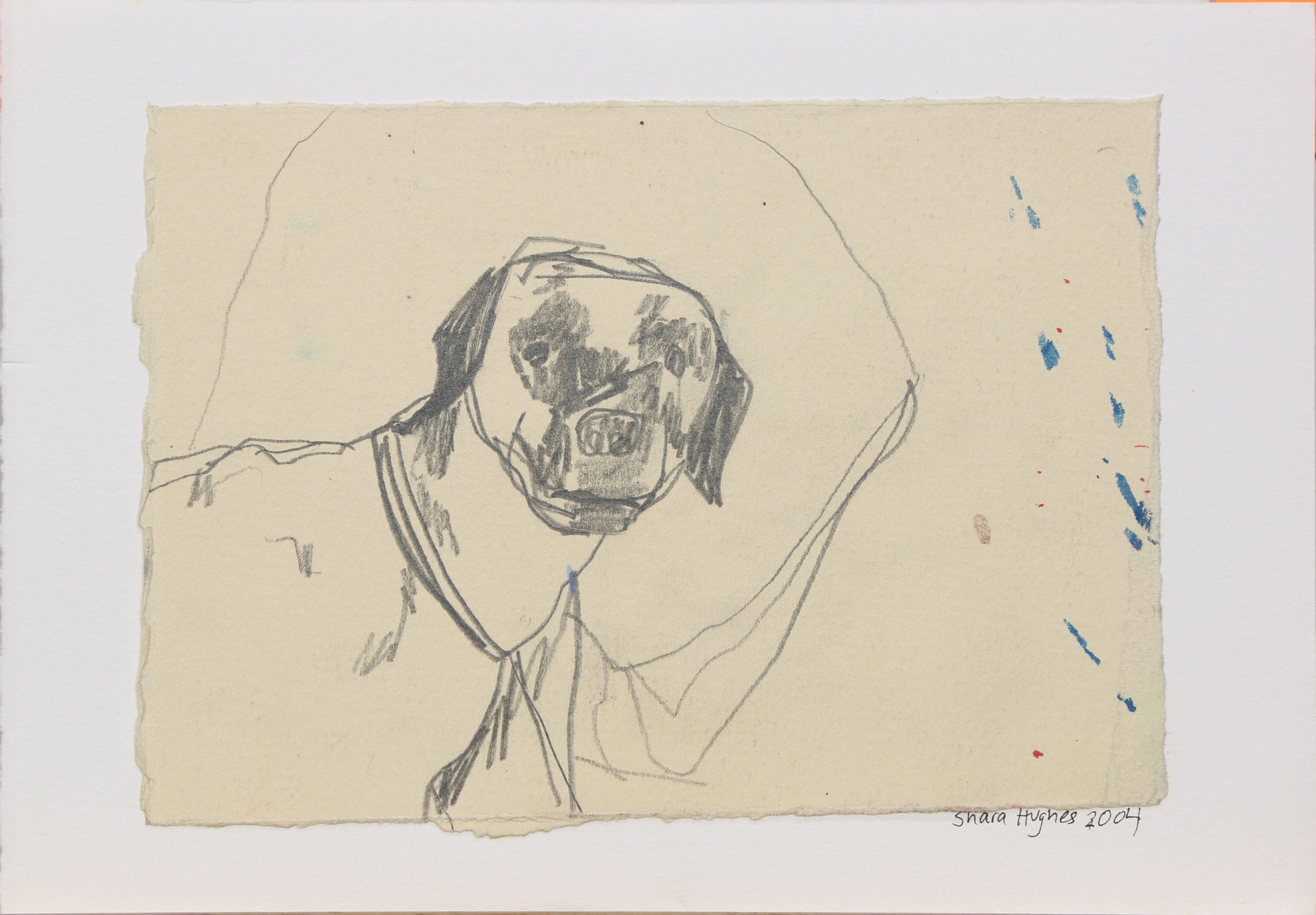 WORKS ON PAPER BY  SHARA HUGHES