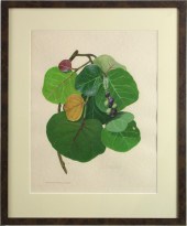 WORKS ON PAPER, C KETCHUM (lot