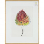 WORKS ON PAPER, MARILYN HAGBER