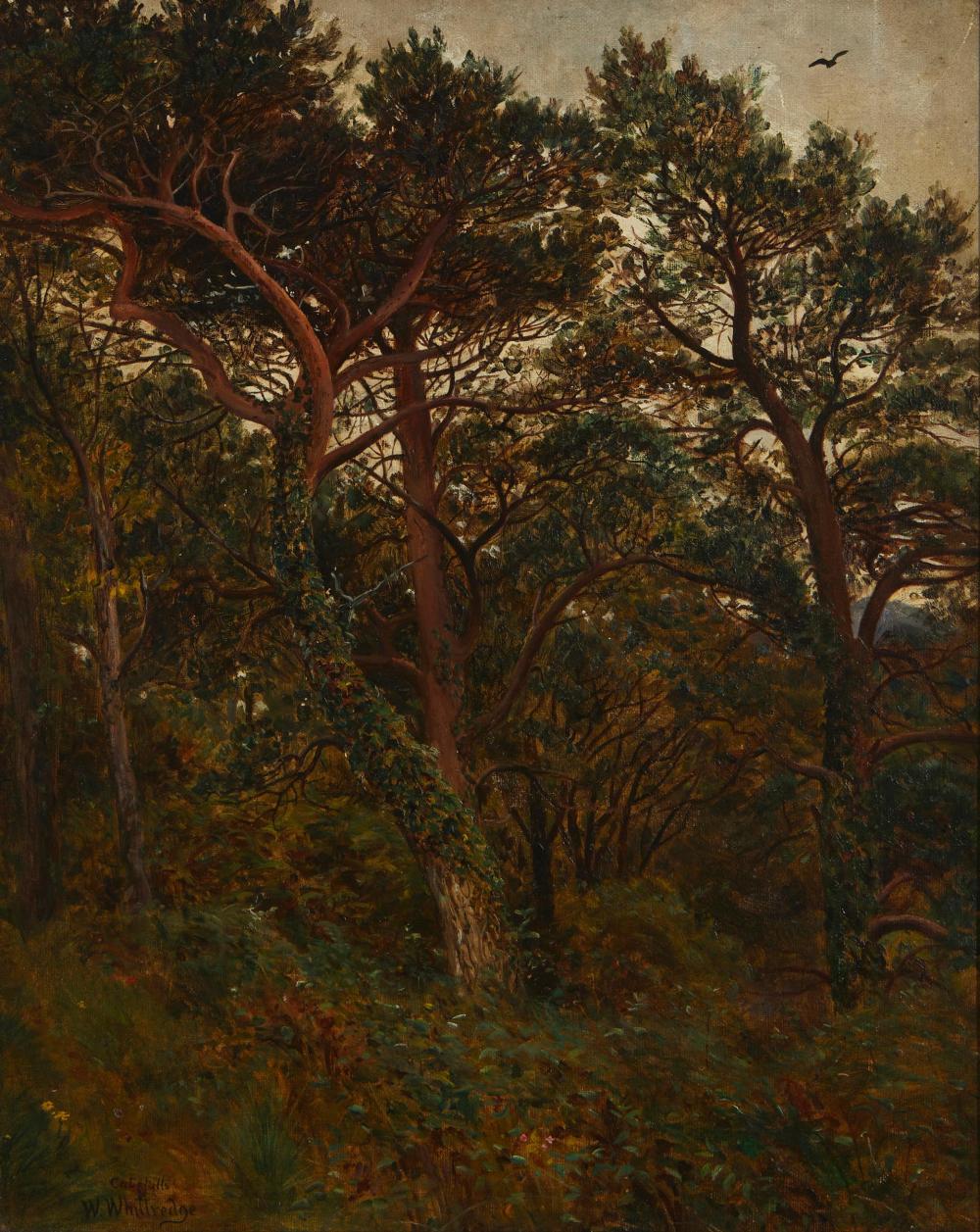 WORTHINGTON WHITTREDGE,
