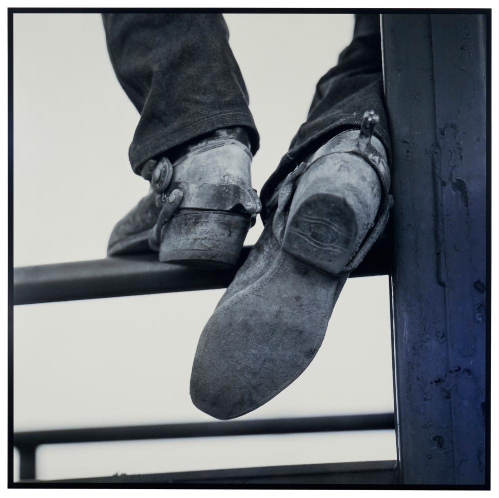 WOUTER DERUYTTER (B. 1967), "COWBOY