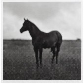 WOVEN PHOTOGRAPH, JOCK MCDONAL