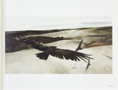 (WYETH ANDREW) MERYMAN RICHARD